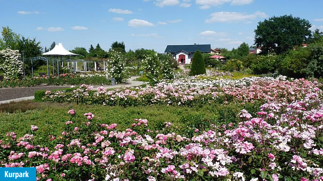 Bad Langensalza - Sante Royale Hotel- und Gesundheitsresort&nbsp;****&nbsp; (Westerwald) - 20. Foto