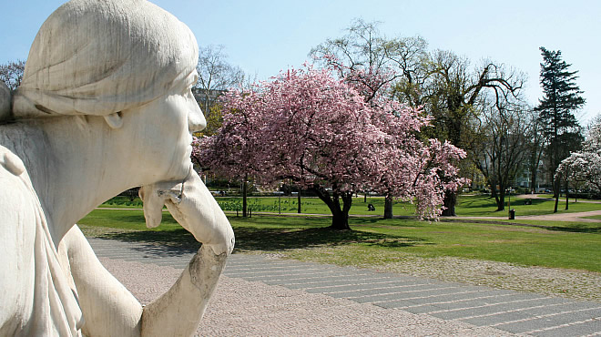 Wiesbaden - Mercure Hotel Wiesbaden City&nbsp;****&nbsp; (Westerwald) - 20. Foto