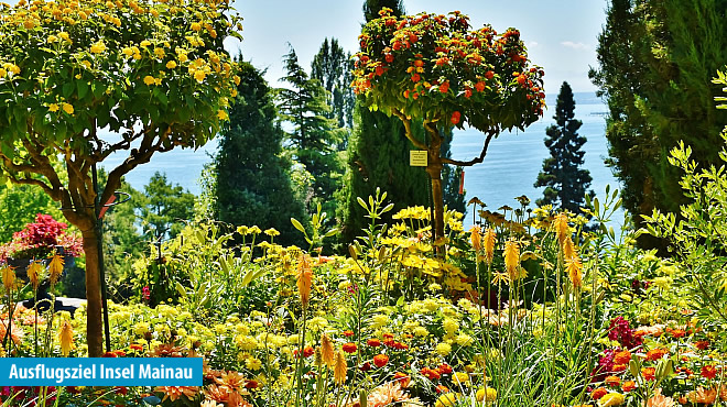 Wangen im Allgäu - JUFA Hotel&nbsp;***&nbsp;Superior (Westerwald) - 20. Foto