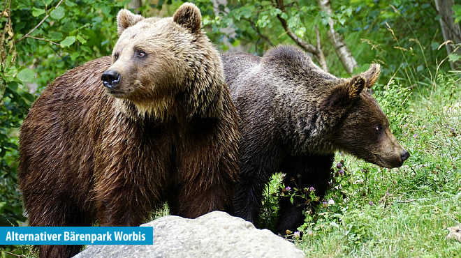 Teistungen  - Victors Residenz-Hotel Teistungenburg&nbsp;****&nbsp;Superior (Westerwald) - 40. Foto