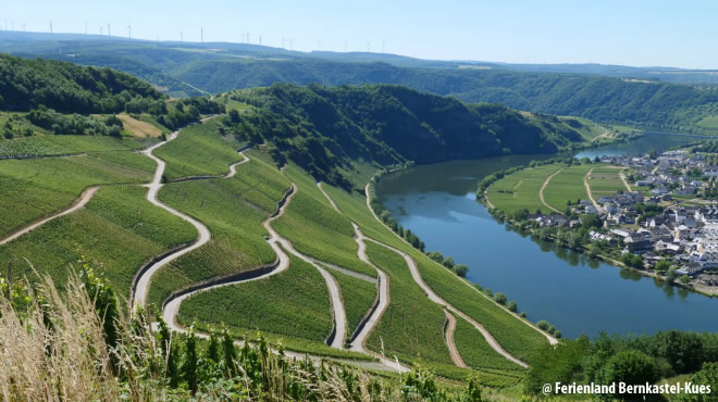Bernkastel-Kues - JUFA Hotel&nbsp;&nbsp; (Westerwald) - 12. Foto