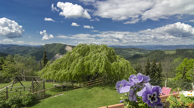 Eberstein - Biolandhaus Arche&nbsp;***&nbsp; (Westerwald) - 15. Foto